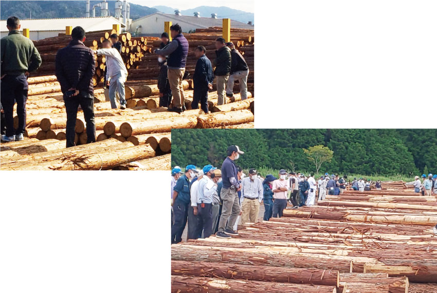 木材の市売（原木）のイメージ写真